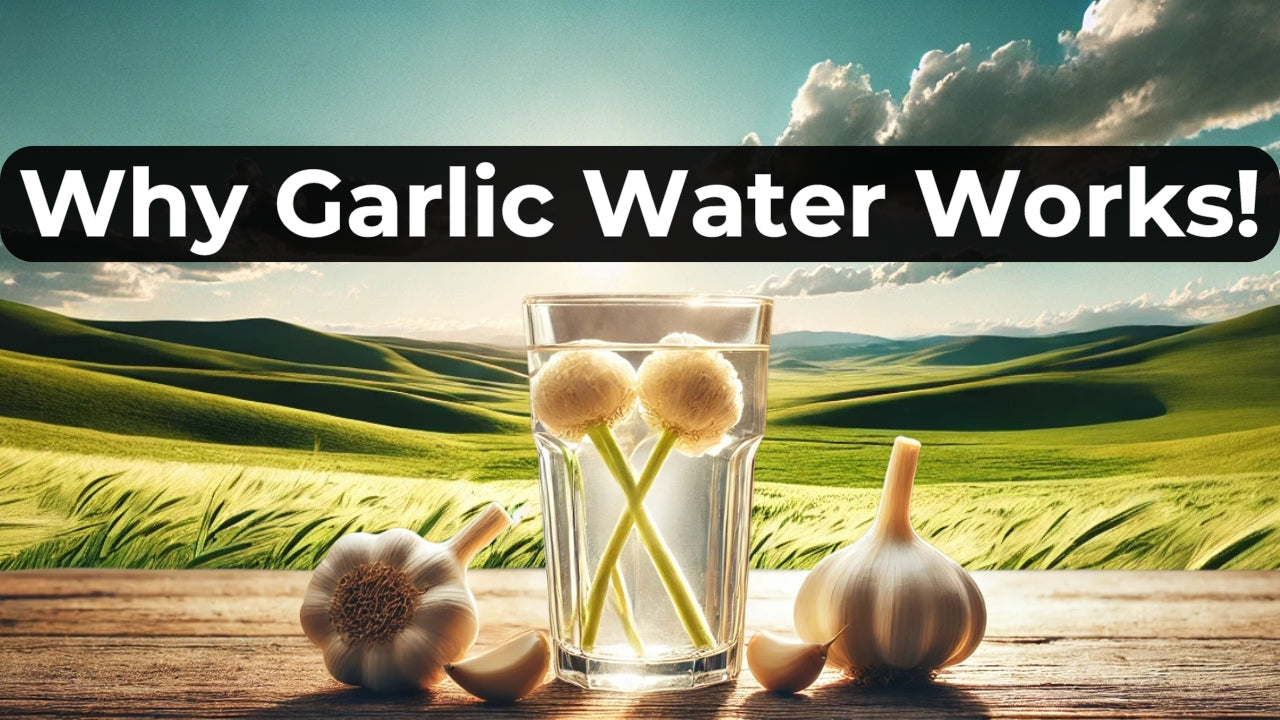 5 Reasons Why Seniors Should Drink Garlic Water