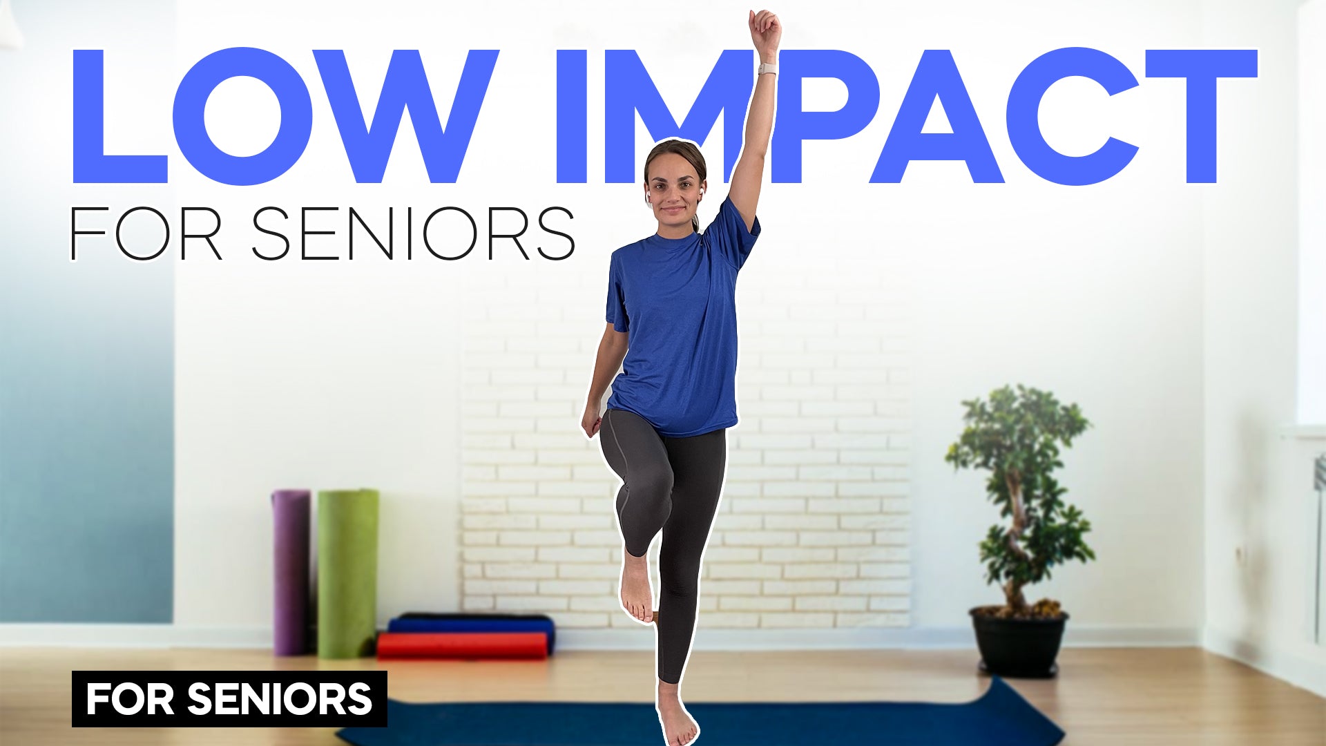 Low Impact Exercise Routine 20 Minute Low Impact Exercise For Seniors (Burn Belly Fat) – Onecompress