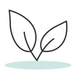 Alt Image