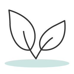 Minimalist black outline drawing of two emerging leaves growing from a light aqua base, symbolizing natural ingredients, sustainability, and ecological growth.