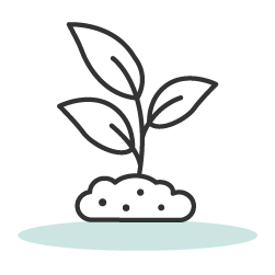 Outline icon depicting a young plant sprout with several leaves emerging from a small mound of nutrient-rich soil, symbolizing growth, regeneration, and sustainability.